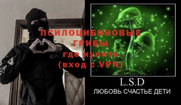 прущие крисы Елабуга