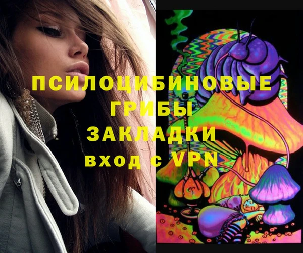 ALPHA-PVP Ельня
