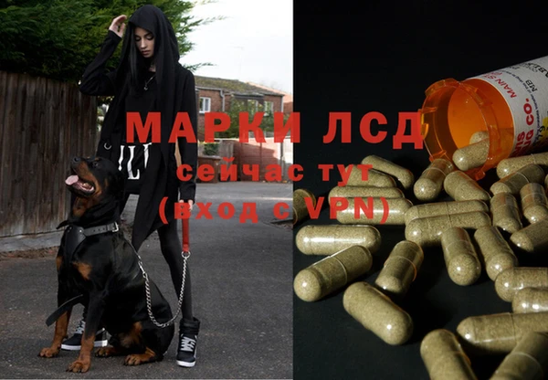 прущие крисы Елабуга