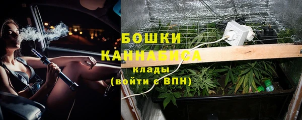 прущие крисы Елабуга