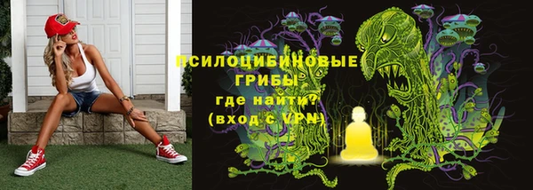 прущие крисы Елабуга