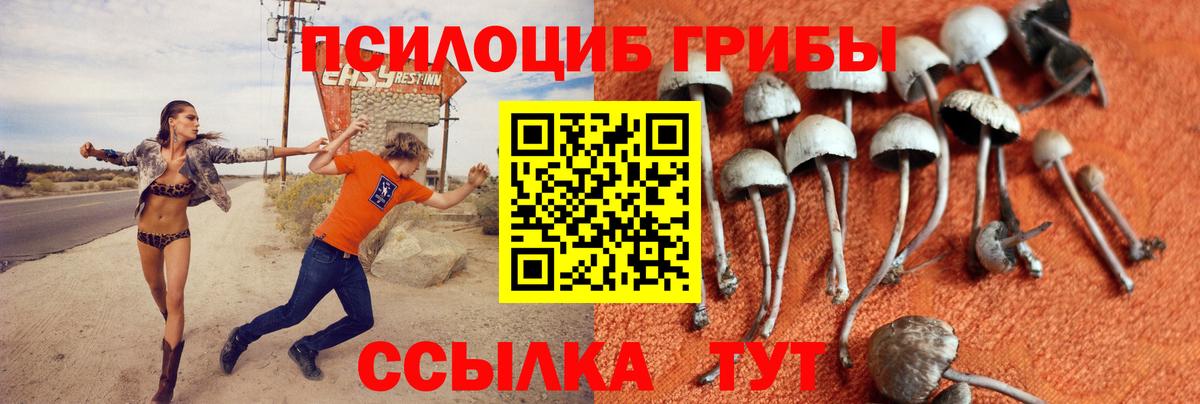 Галлюциногенные грибы мухоморы Уфа