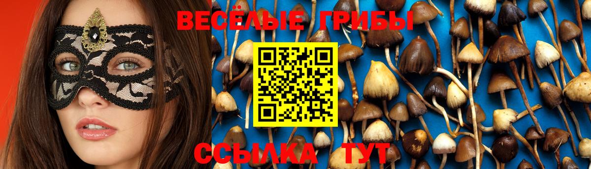 Уфа  цена наркотик  Вход с VPN  Псилоцибиновые грибы Cubensis 